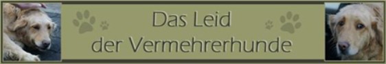 Hauptbilder: banner-das_leid_562_x_93.jpg